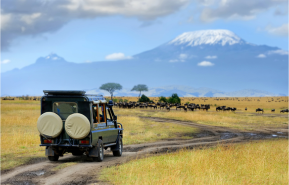 07 DAYS BEST OF SAFARI TOUR IN KENYA