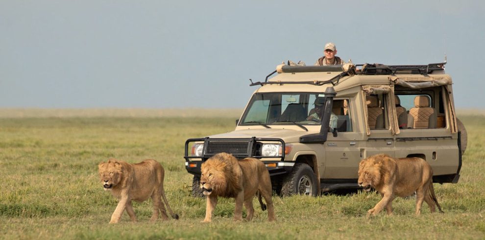 09 DAYS OF ADVENTURE: DISCOVER KENYA AND TANZANIA'S WILDLIFE WONDERS