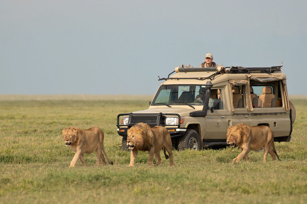 09 DAYS OF ADVENTURE: DISCOVER KENYA AND TANZANIA'S WILDLIFE WONDERS