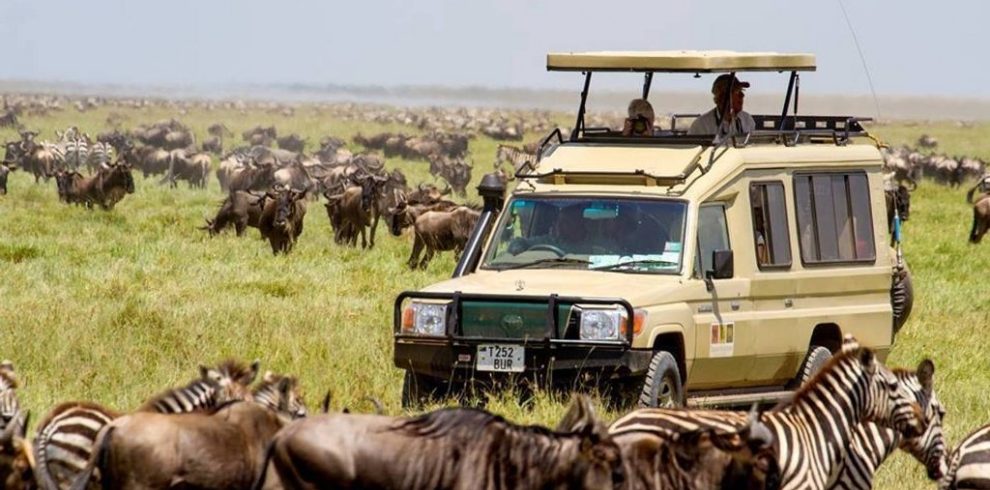 11 DAYS BEST OF KENYA & TANZANIA SAFARI PACKAGE