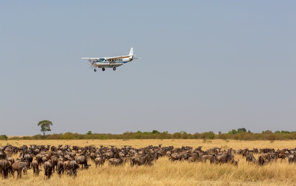 luxury & flying safaris 5-DAY TANZANIA SAFARI EXTRAVAGANZA