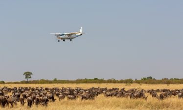 luxury & flying safaris 5-DAY TANZANIA SAFARI EXTRAVAGANZA