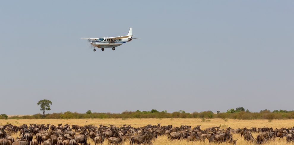 luxury & flying safaris 5-DAY TANZANIA SAFARI EXTRAVAGANZA