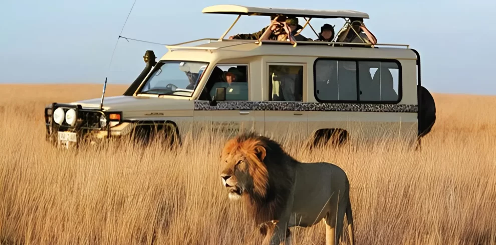 11 DAYS EXCLUSIVE KENYA SAFARI: THE ULTIMATE SAFARI EXPERIENCE