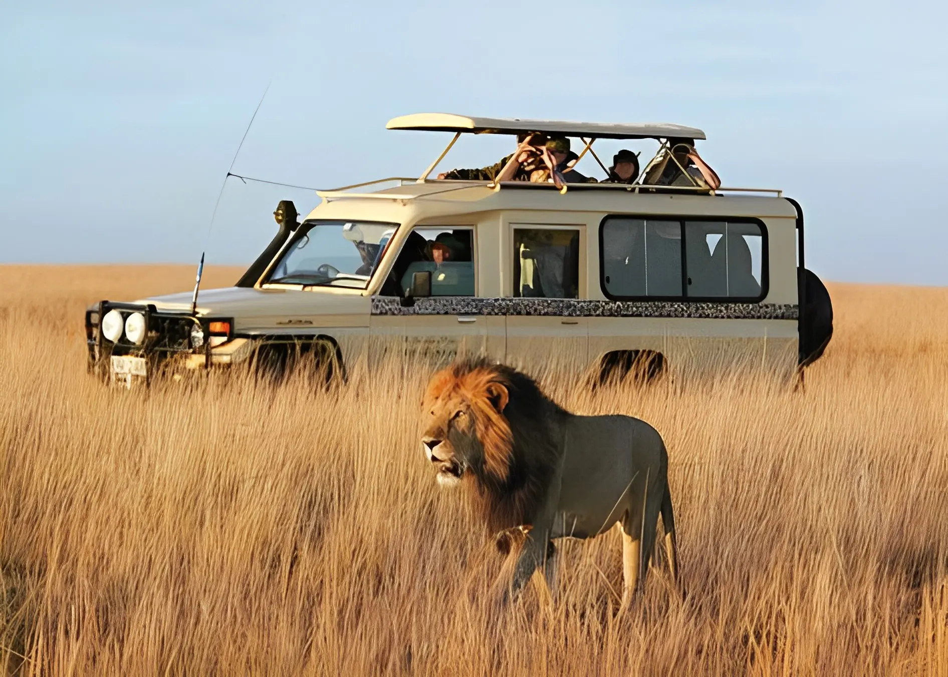 11 DAYS EXCLUSIVE KENYA SAFARI: THE ULTIMATE SAFARI EXPERIENCE