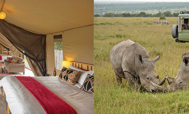 7 Day Kenya Fly-in Safari Ol Pejeta Conservancy & Masai Mara | Holidays