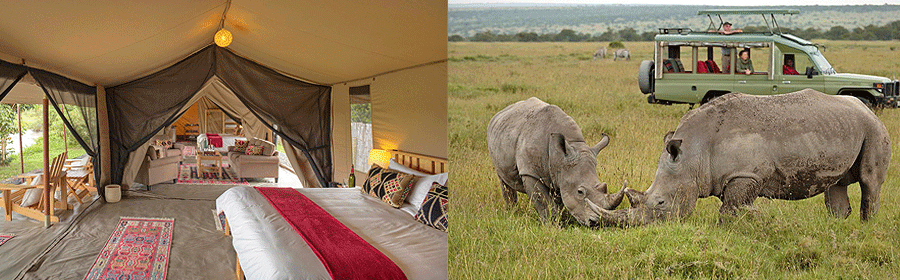 7 Day Kenya Fly-in Safari Ol Pejeta Conservancy & Masai Mara | Holidays