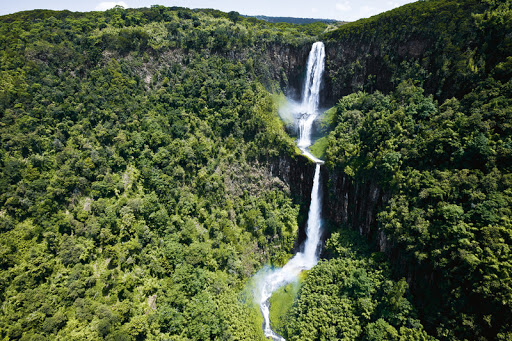 Aberdare national park Hiking | Aberdare Mountain Ranges | Kenya Tours