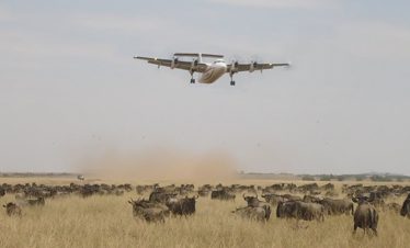 maasai mara flying safari by air