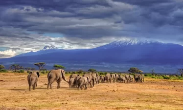 BEST OF 06 DAY TANZANIA SAFARI: TARANGIRE NATIONAL PARK - LAKE MANYARA NATIONAL PARK – SERENGETI NATIONAL PARK - NGORONGORO CRATER ADVENTURE