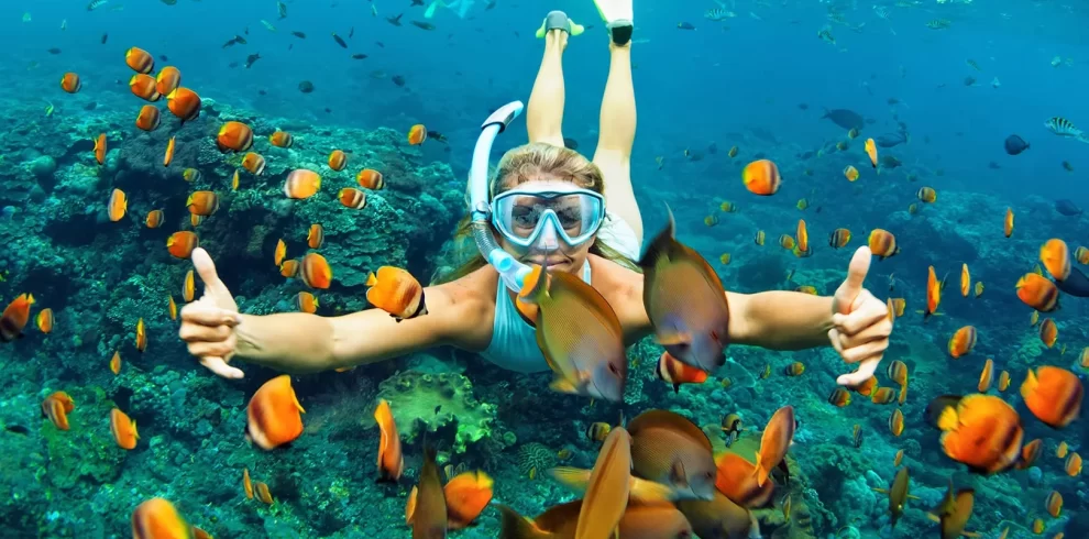 Diani | Diani Short Snorkelling Trip | Book online | PADI Adventures