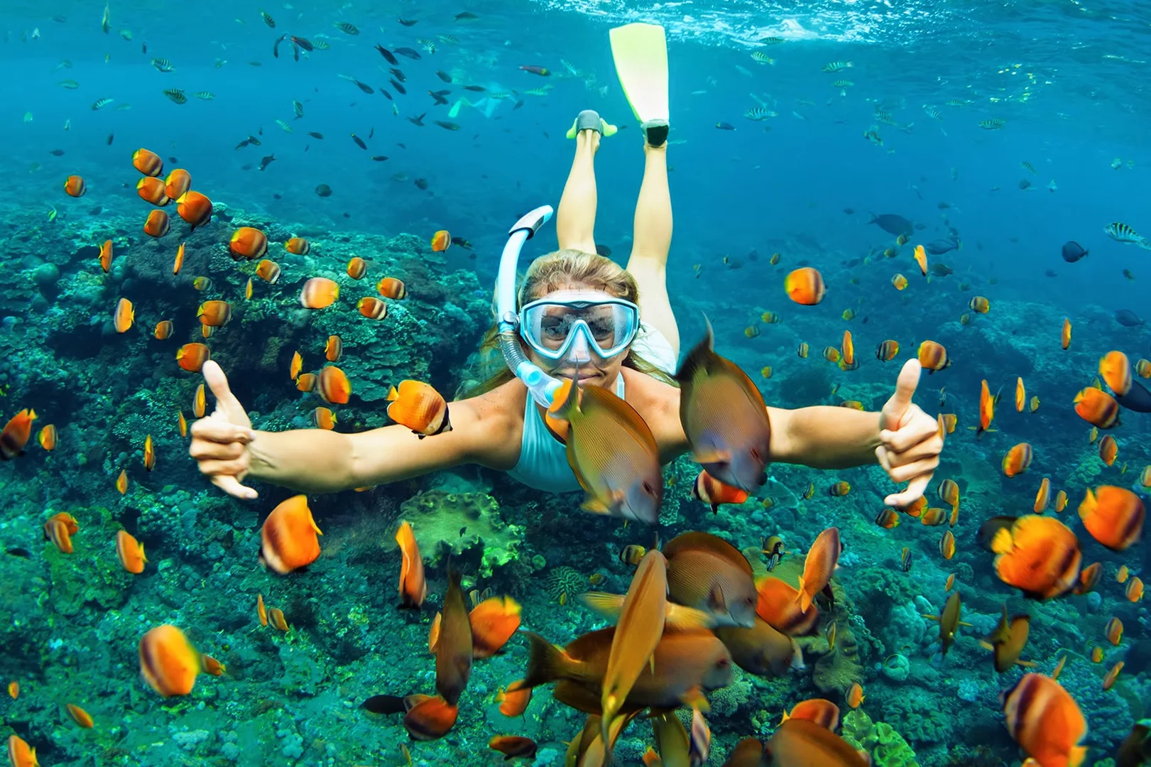 Diani | Diani Short Snorkelling Trip | Book online | PADI Adventures