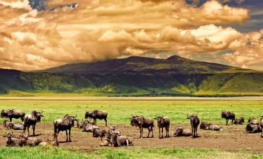 EXCLUSIVE 08 DAYS SAFARI DISCOVER LAKE NATRON, SERENGETI NATIONAL PARK – NGORONGORO CONSERVATION AREA - LAKE EYASI - LAKE MANYARA NATIONAL PARK