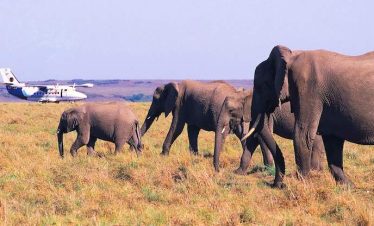 Kenya Safari Vacation Packages - Kenya Fly-In Safari Packages