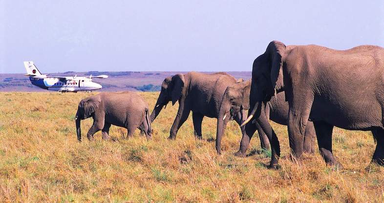 Kenya Safari Vacation Packages - Kenya Fly-In Safari Packages