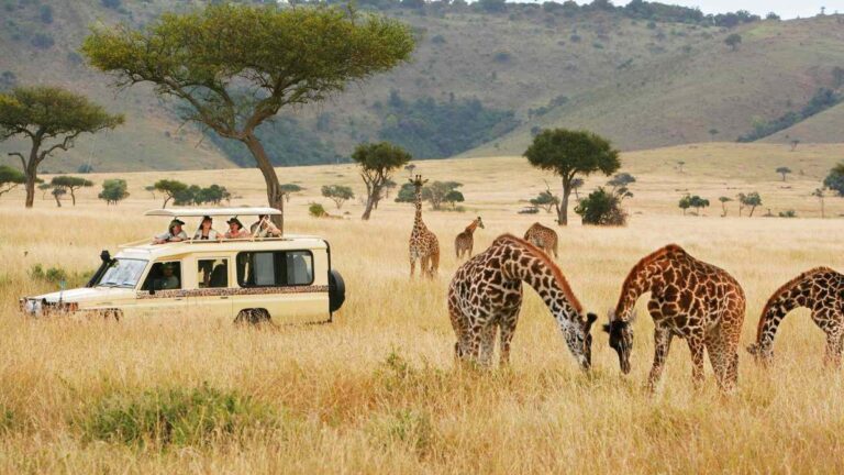 Kenya Safaris tour