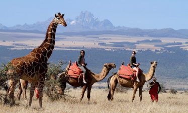 Samburu Camel Trekking | Best Kenya Safari Experiences | Art Of Safari