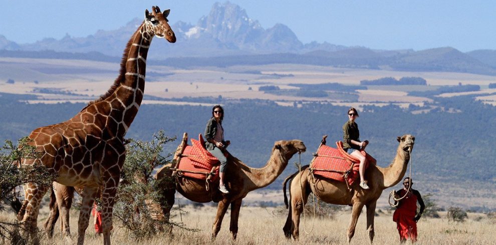 Samburu Camel Trekking | Best Kenya Safari Experiences | Art Of Safari