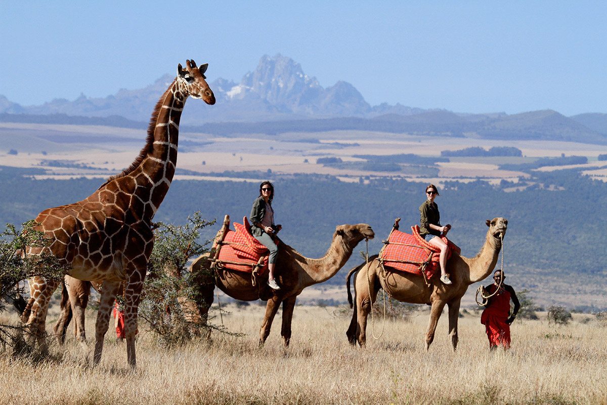 Samburu Camel Trekking | Best Kenya Safari Experiences | Art Of Safari