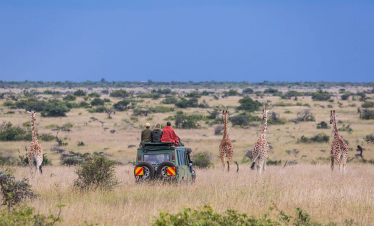 Laikipia Plateau Expeditions: Exploring Kenya's Hidden Gem - Outdoor Adventure