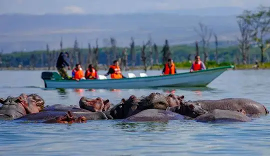 Lake Naivasha: A Tranquil Escape Near Lemaiyan Suites - Lemaiyan Suites