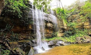 Stunning activities to do at Shimba Hills Reserve | Kenya Safaris