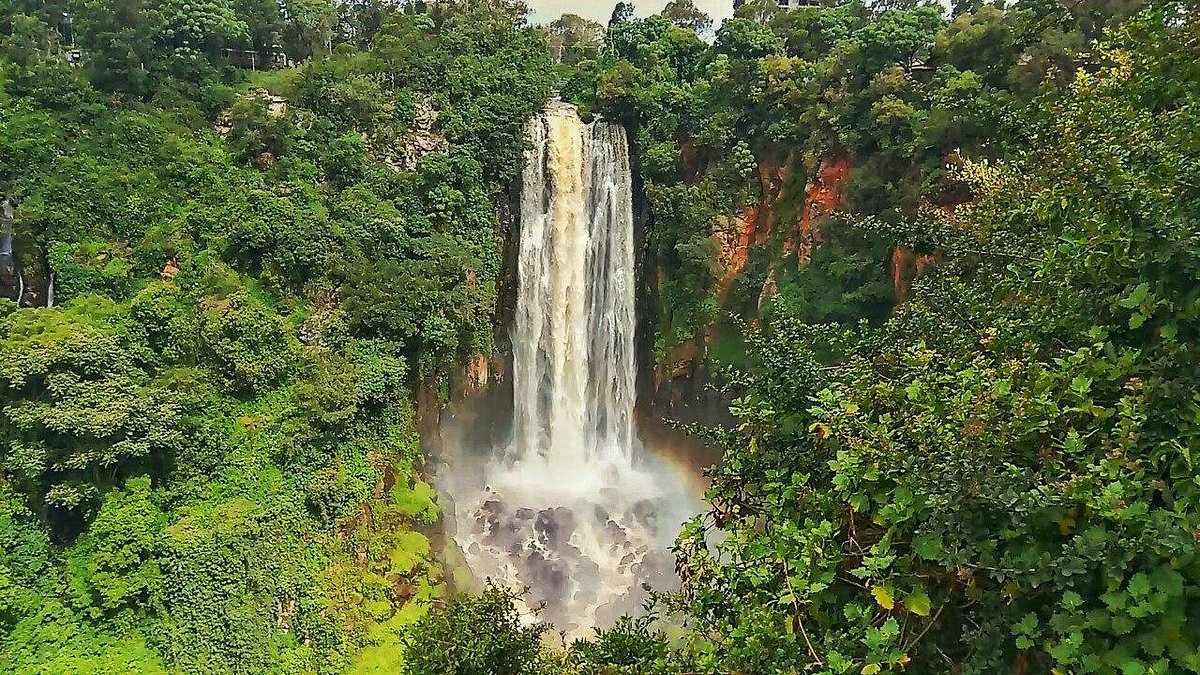 Thomson Falls - All You Need to Know BEFORE You Go (2024)