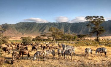 EPIC 04 DAYS TANZANIA SAFARI: DISCOVER THE SERENGETI AND NGORONGORO CRATER