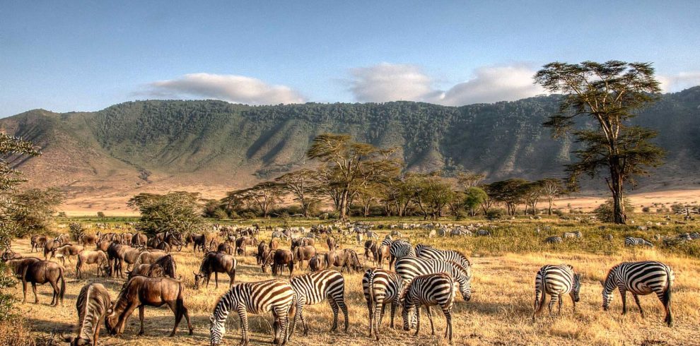 EPIC 04 DAYS TANZANIA SAFARI: DISCOVER THE SERENGETI AND NGORONGORO CRATER