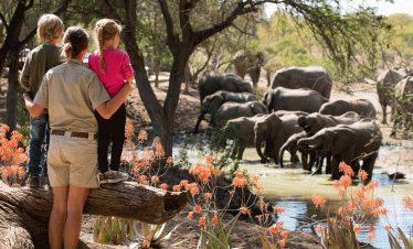 ngala-wildchild-family-kids-elephant