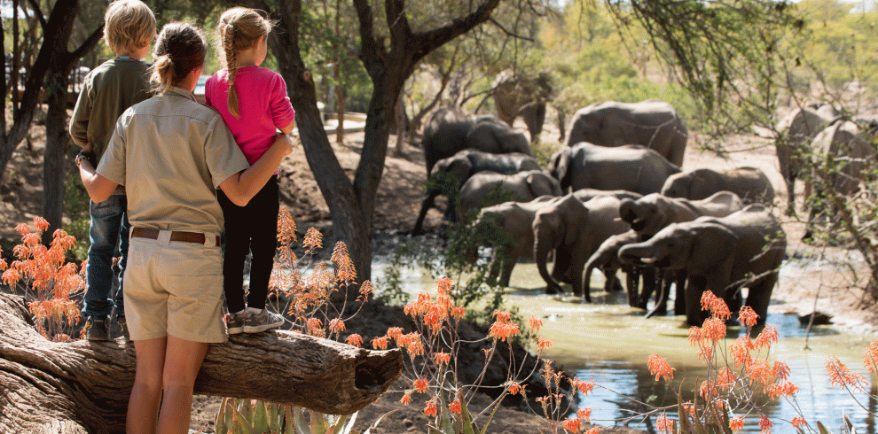 ngala-wildchild-family-kids-elephant