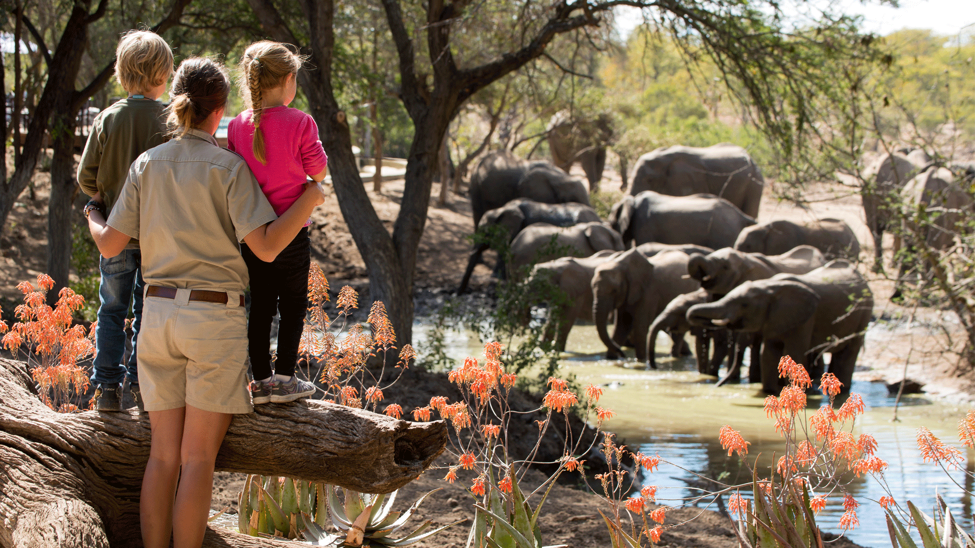 ngala-wildchild-family-kids-elephant