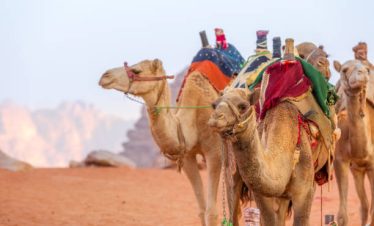 7-NIGHT ADVENTURE: FROM BUSHLAND TO MOORLAND